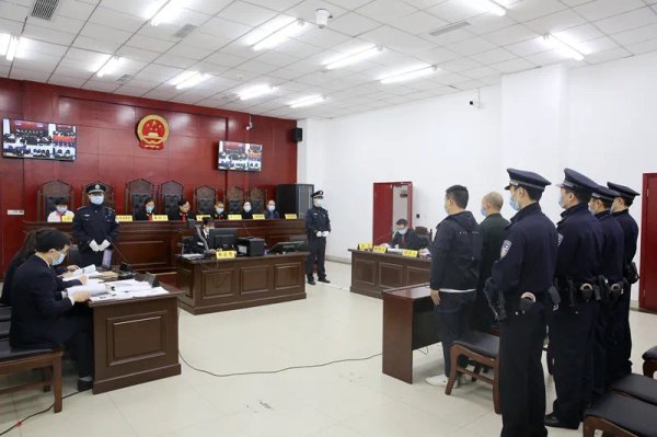 创盈中心 “打击+修复”双管齐下 筑牢生态保护法治化屏障