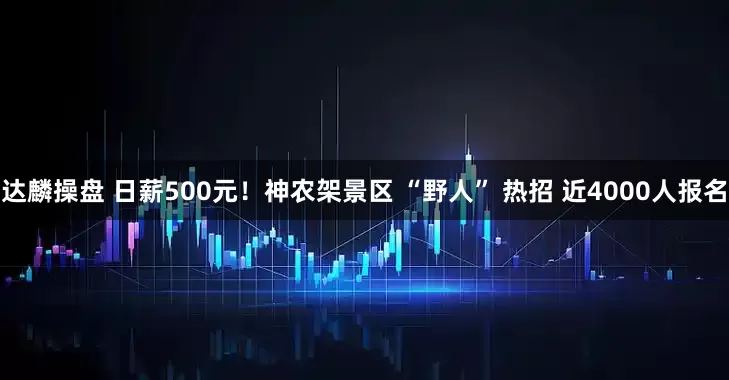 达麟操盘 日薪500元！神农架景区 “野人” 热招 近4000人报名