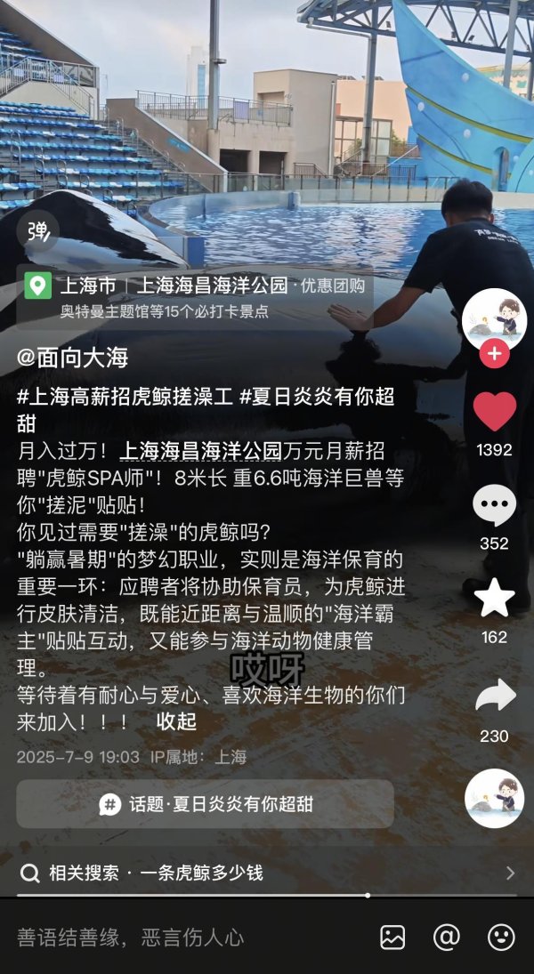 财盘配资 上海一海洋公园“万元招聘虎鲸搓澡师”？园方回应