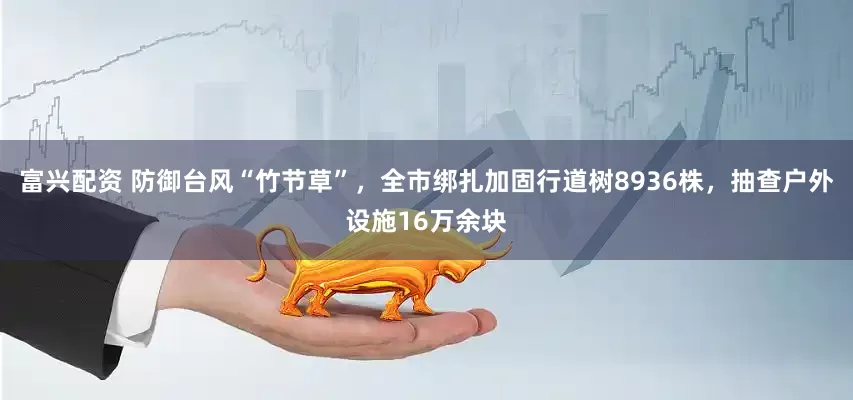 富兴配资 防御台风“竹节草”，全市绑扎加固行道树8936株，抽查户外设施16万余块