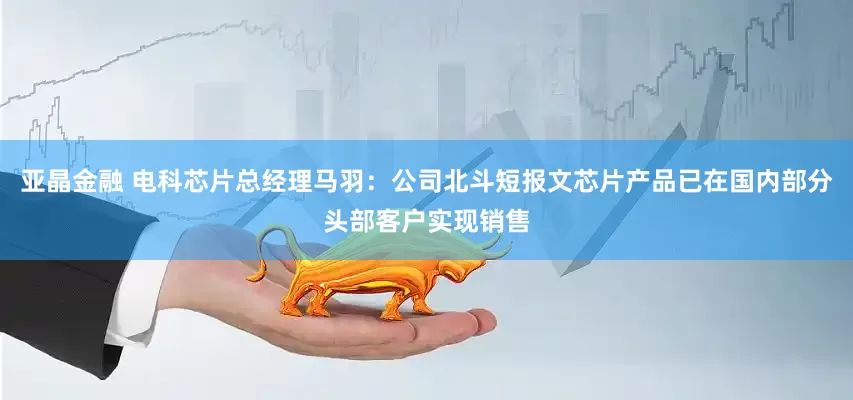 亚晶金融 电科芯片总经理马羽：公司北斗短报文芯片产品已在国内部分头部客户实现销售